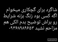 به تصویر دقت کنید
